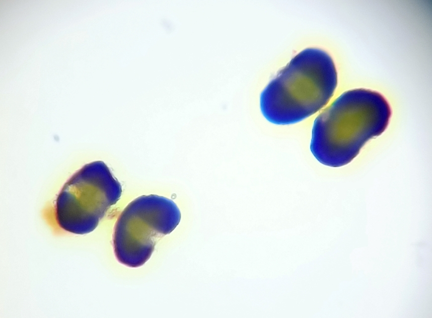 Buongiorno a tutti da una new entry